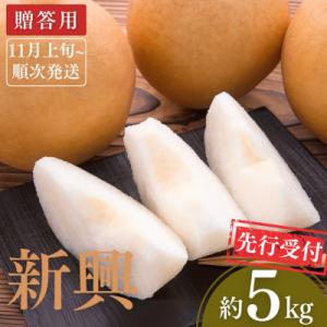先行受付 和梨 新興 約5kg [2026年発送] 新潟県三条市産梨 [小林農園]【012P047】