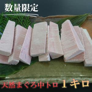 ふるさと納税 三浦市 訳あり天然目鉢鮪中とろ小切れ　1kg(数量限定)
