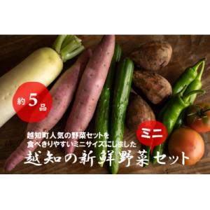 ふるさと納税 越知町 越知産市の季節の野菜ミニセット　産地直送　旬野菜｜y-sf