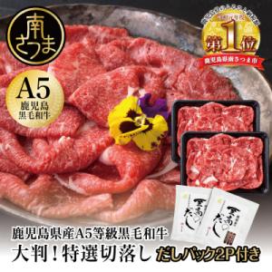 ふるさと納税 南さつま市 大判!A5等級黒毛和牛特撰切落し600gと至高のだしセット(しゃぶしゃぶ・すき焼き)