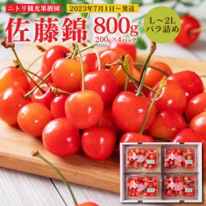 ふるさと納税 余市町 フルーツ王国余市産 「佐藤錦(L〜2Lバラ詰め)」