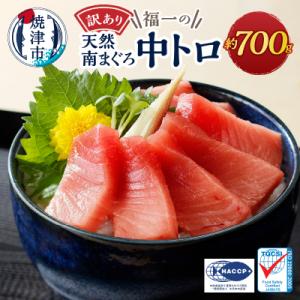 ふるさと納税 焼津市 訳あり刺身ミナミマグロ中トロ切り落とし 約700g(a10-1000)