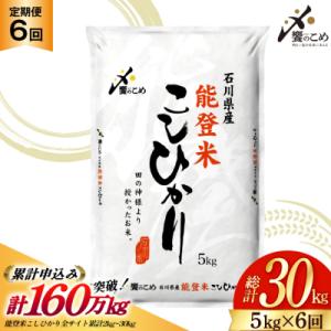 米 定期便 能登米 こしひかり 5kg ×6回 総計 30kg 精米 [38601130]