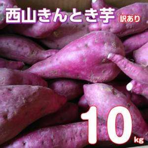 【令和9年1月お届け】【訳あり】西山きんとき芋(さつまいも)　10kg
