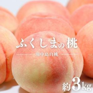 福島のもも　川中島白桃　約3kg【2026年発送　先行受付】No.2153