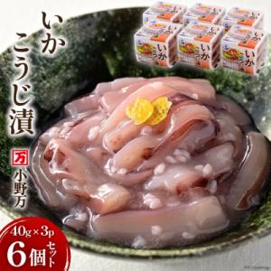 ふるさと納税 気仙沼市 小野万 いかこうじ漬 40g×3P 6個セット  [小野万 宮城県 気仙沼市 20562535]｜y-sf