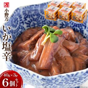 ふるさと納税 気仙沼市 小野万 いか塩辛 40g×3P 6個セット  [小野万 宮城県 気仙沼市 20562536]｜y-sf