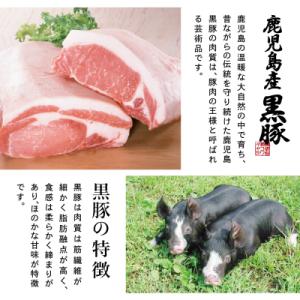 ふるさと納税 南さつま市 【毎月届く定期便】黒...の詳細画像1