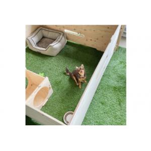 ふるさと納税 宝達志水町 犬 ミニ ドッグラン...の詳細画像3