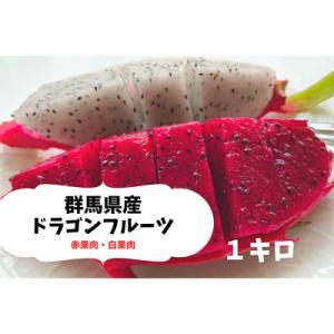 <2026年7月下旬より順次発送> ドラゴンフルーツ (1kg)  F20E-514