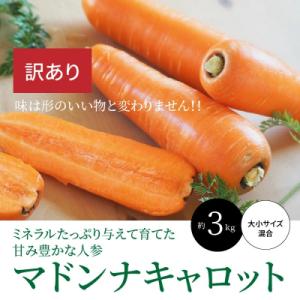 ふるさと納税 碧南市 【数量限定】訳あり!「マドンナキャロット」 3kg にんじん 野菜　H105-060