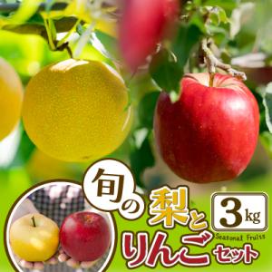 【先行予約】期間・数量限定【陽気な母さんの店】R8年産「旬の梨とりんご詰合」(3kg)