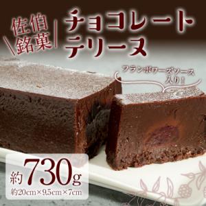 ふるさと納税 佐伯市 チョコレートテリーヌ (約730g)