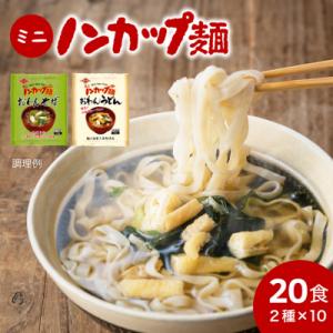 ふるさと納税 関市 ミニノンカップ麺 おわん麺セット20食(2種×10食)
