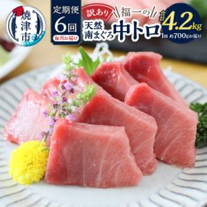 訳あり【定期便 6回】南鮪・刺身・中トロ(約700g)(b108-001)