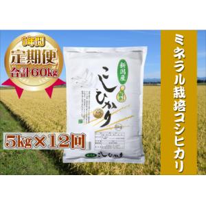 【令和7年産】【12回定期便】ミネラル栽培こしひかり 5kg