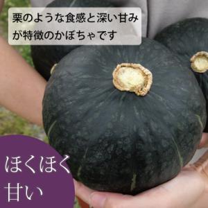 ふるさと納税 当麻町 【2026年産先行受付】...の詳細画像1