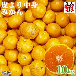 ふるさと納税 西予市 愛媛県明浜産「皮より中身」みかん(10kg)