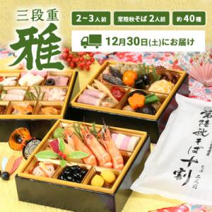 ふるさと納税 境町 茶蔵特選和洋中三段おせち「雅」2〜3人前&年越しそば2人前付き