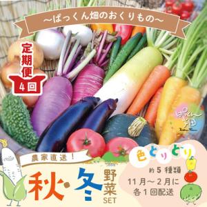 ふるさと納税 四万十市 とれたて新鮮!ぱっくん畑のおくりもの〜農家直送!秋・冬野菜セット(約5種類