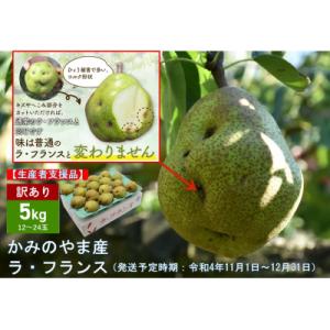 ふるさと納税 上山市 訳アリ西洋梨(ラ・フランス) 5kg　ひょう被害支援・味は変わらぬ「ミダグナシ」　0060-2218