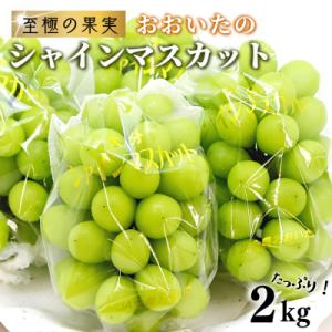 《先行受付》至極の果実 シャインマスカット 2kg 大分県産 化粧箱入り