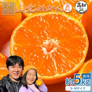 山北みかん5kg 家庭用 小玉 5キロ 糖度 甘い 人気 訳あり 果物 フルーツ th-0030
