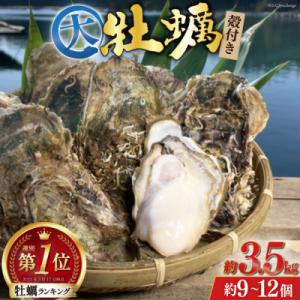 ふるさと納税 気仙沼市 牡蠣 大粒 3〜4年モノ 生食 殻付き牡蠣 約3.5kg(約9-12個入) 20561545