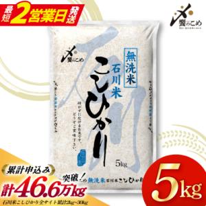 米 令和7年 無洗米 石川米 こしひかり 精米 5kg [宝達志水町 38601204-sp-s]