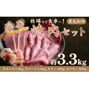 ふるさと納税 三宅町 【牧場から食卓へ!】焼肉セット大