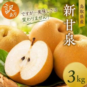 【訳あり】新甘泉　3kg【2026年発送】