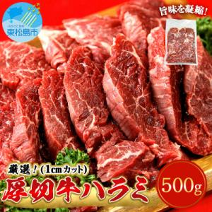 ふるさと納税 東松島市 ハラミ 厚切 味付き 牛ハラミ 500g 冷凍 牛肉 味付 焼肉 バーベキュ...