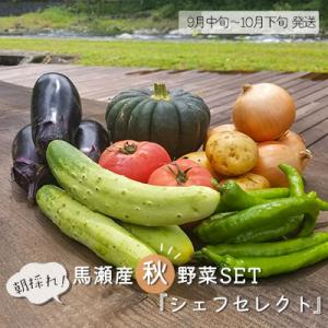 ふるさと納税 下呂市 【美しい村 馬瀬産】朝採れ!「秋」 野菜SET 『シェフセレクト』秋収穫 野菜...