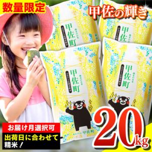 ふるさと納税 甲佐町 【配送月選択可!】　『甲佐の輝き』精米20kg(5kg袋×4袋)ZF｜さとふる