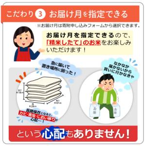 ふるさと納税 甲佐町 令和7年産『甲佐の輝き』...の詳細画像3