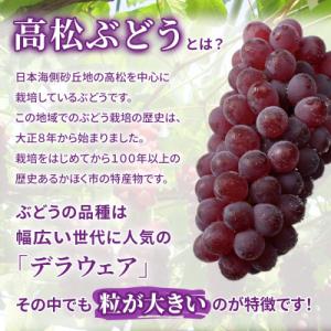 ふるさと納税 かほく市 【令和6年度発送分】高松ぶどう1箱(約2キロ入り)デラウェア・種無し・甘い・大粒｜さとふる