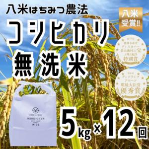 ふるさと納税 阿賀野市 【令和8年産新米先行受付】12回定期便 八米 はちみつ農法 コシヒカリ 無洗米 5kg×12回