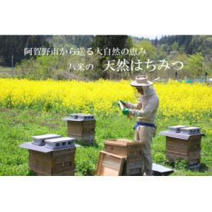 ふるさと納税 阿賀野市 【令和8年産新米先行受...の詳細画像1