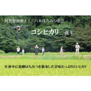 ふるさと納税 阿賀野市 【令和8年産新米先行受...の詳細画像2