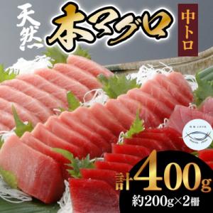 本マグロ　中トロ　2柵(400g)