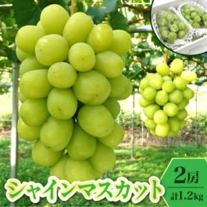 ぶどう(シャインマスカット)1.2kg　0009-2606