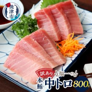 ふるさと納税 焼津市 本マグロ中トロ訳あり刺身約800g(a18-068)