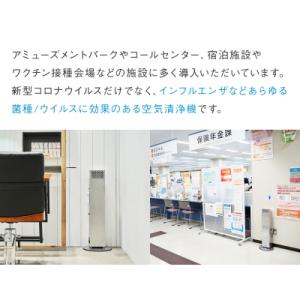 ふるさと納税 石巻市 AIR MONKEY T...の詳細画像3
