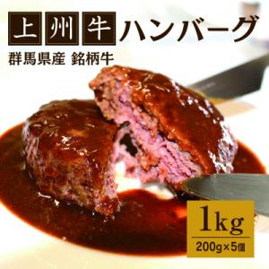 ふるさと納税 みどり市 上州牛ハンバーグ1kg(200g×5個)【172】