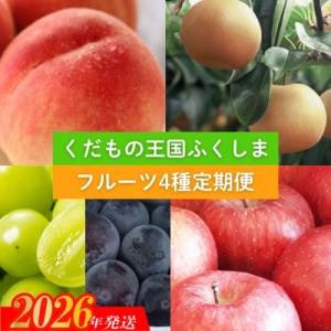 【2026年発送　先行受付】フルーツ4種定期便No.2340