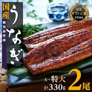 ふるさと納税 大崎町 鹿児島県産うなぎ長蒲焼2尾