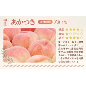 もも【あかつき・2026年産先行受付】特秀約3kg「献上桃の郷ブランド品」桑折町産　JAふくしま未来