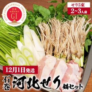 【12月1日発送】石巻伝統野菜「河北せり」のセリ鍋セット( 2-3人前 ・ せり 5束 )
