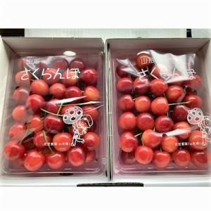 ふるさと納税 上山市 さくらんぼ(佐藤錦)700g　秀品　バラ詰め　0044-2303