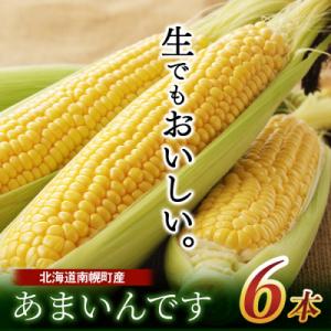 令和8年発送 北海道産 とうもろこし あまいんです 6本 /朝採れ 一番果